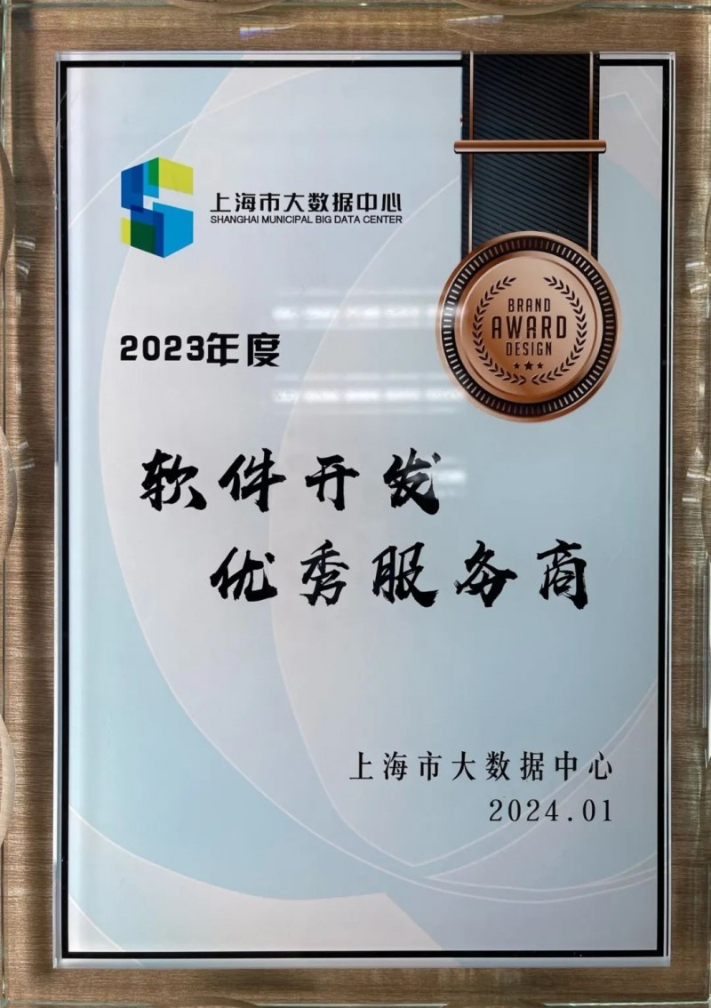 上海软件开发:城市发展的智能引擎
